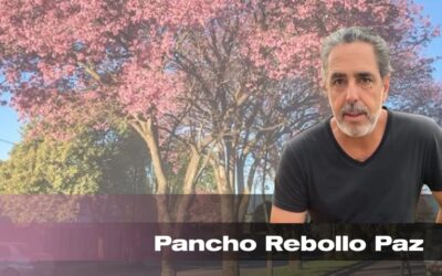 WhatsApp Image 2025-05-28 at 09.29.10 WhatsApp Image 2025-05-28 at 09.29.10